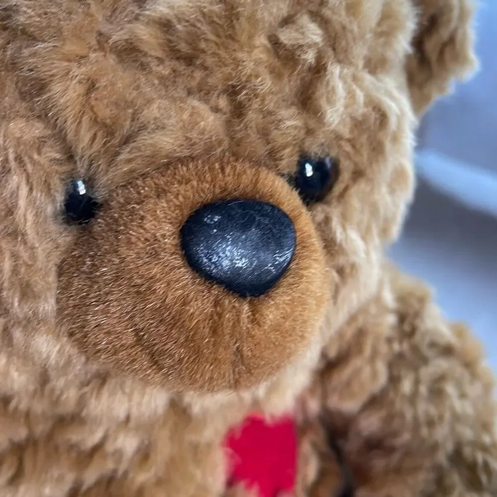 10” DGE plush curly haired Teddy bear with red heart.